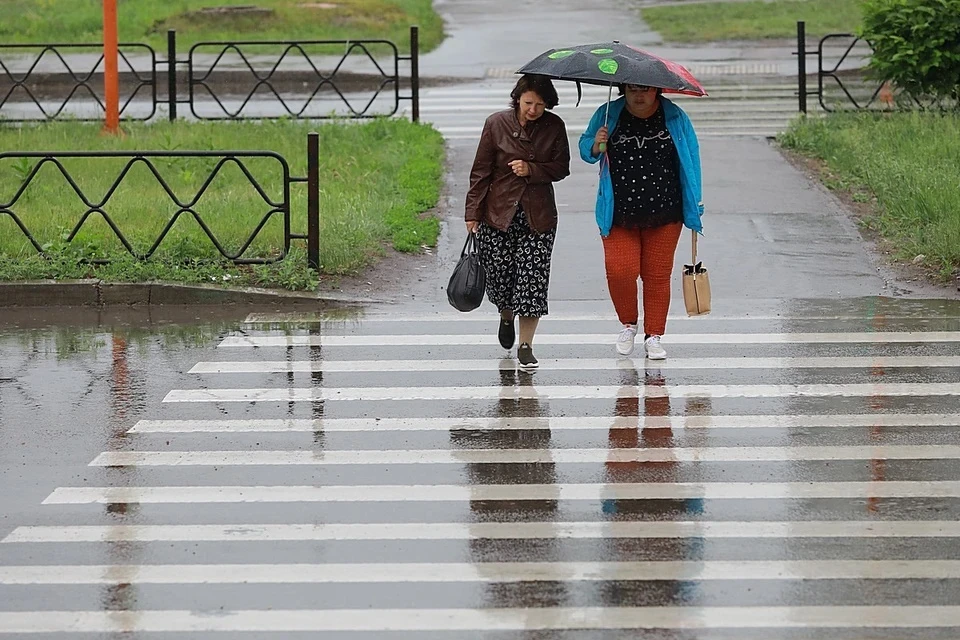 В Московском регионе на этой неделе может выпасть месячная норма осадков