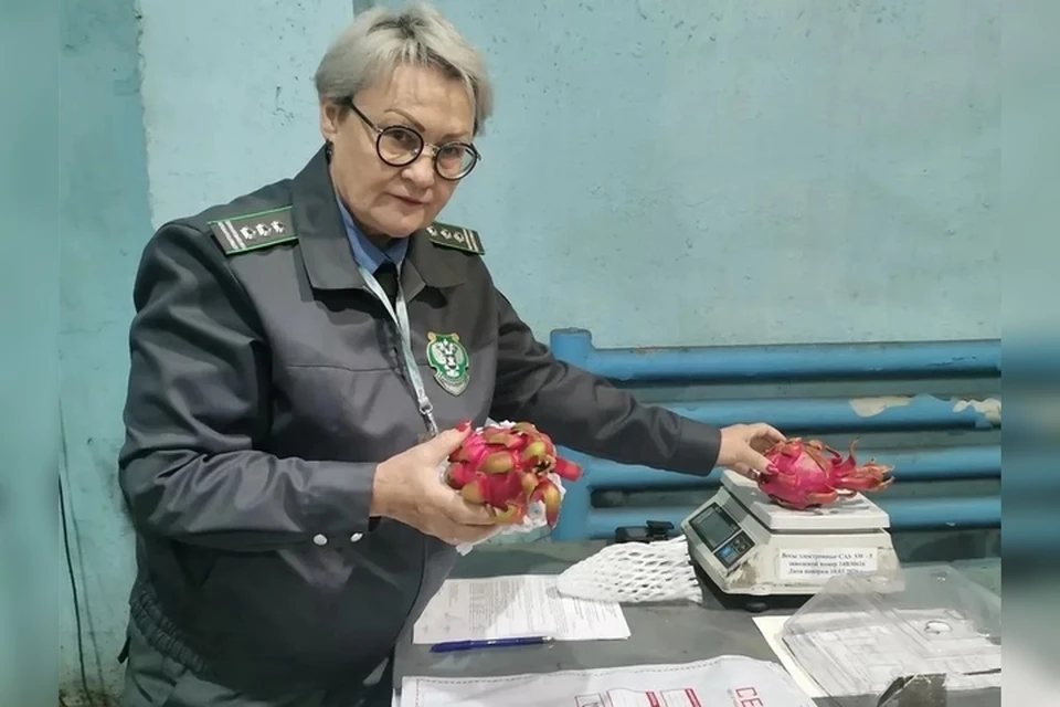В Иркутске нашли признаки заражения в экзотических фруктах из Таиланда. Фото: Управление Россельхознадзора по Иркутской области и Республике Бурятия