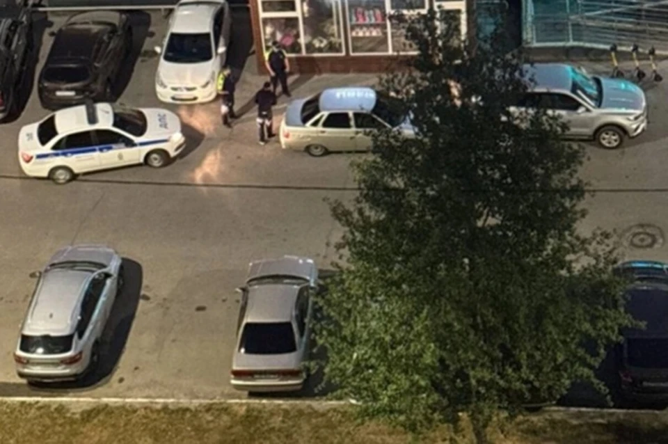 Фото: Типичный краб Нижневартовска