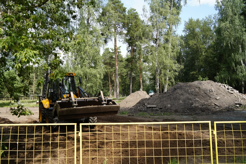 Березовую рощу благоустраивают в Ижевске