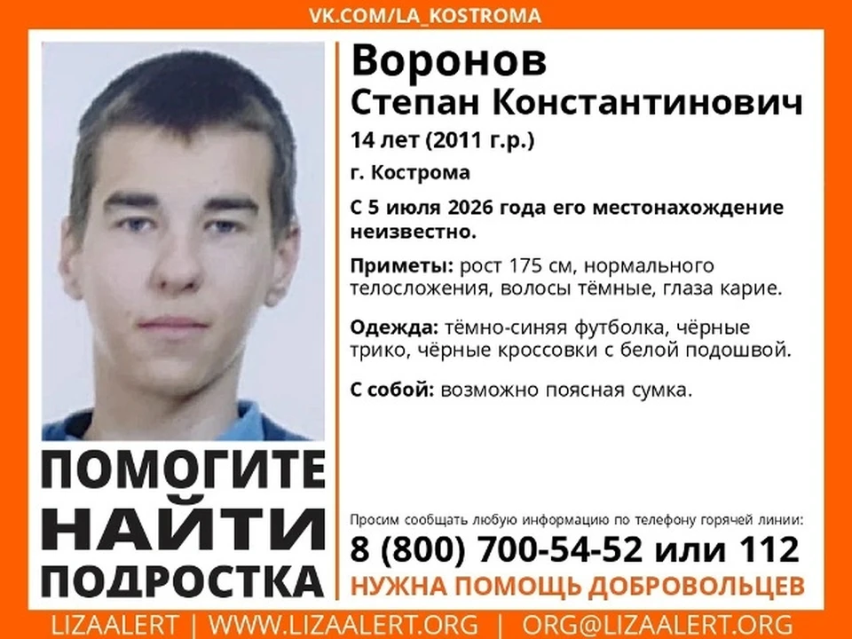 Фото: ДПСО "ЛизаАлерт" Костромской области