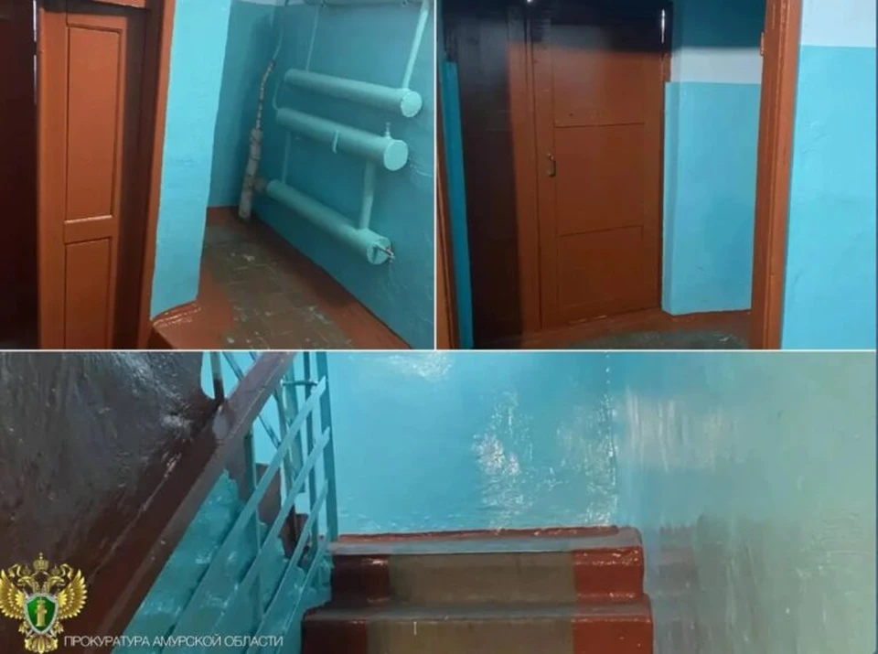 Фото: прокуратура Амурской области