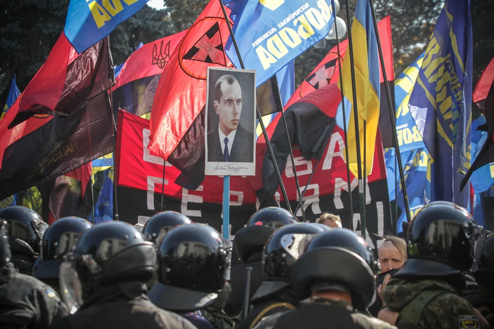 Евродепутат разорвала флаг украинских нацистов в Европарламенте