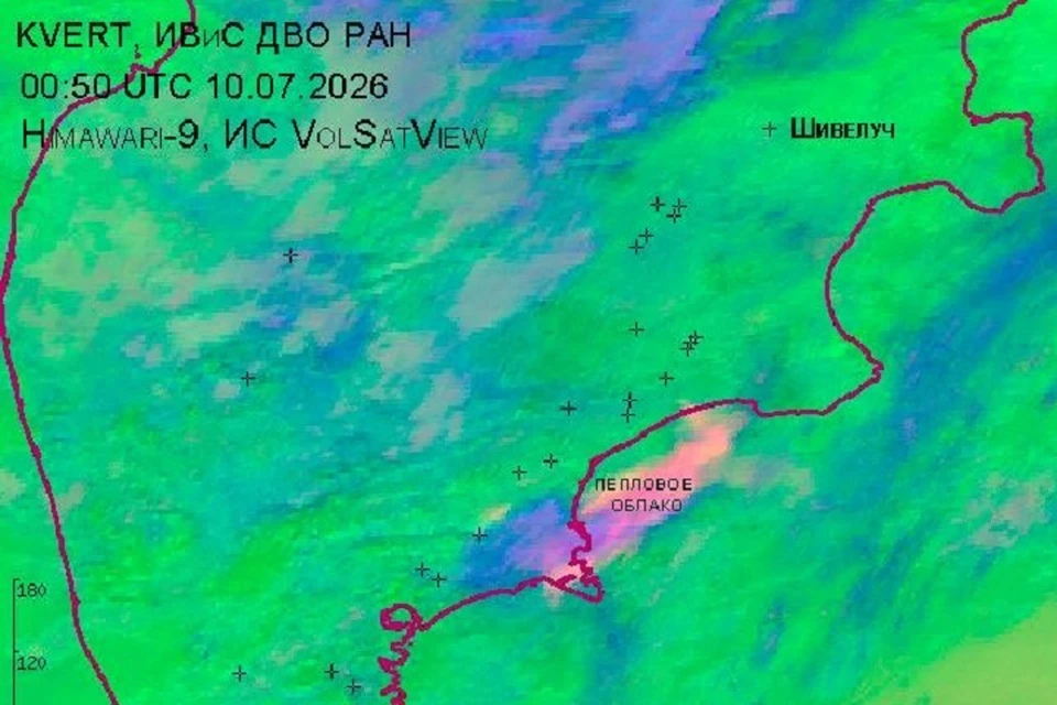 Пепловое облако от вулкана Шивелуч показали со спутника на Камчатке Фото: KVERT ИВиС ДВО РАН/@ivsfebras_kvert