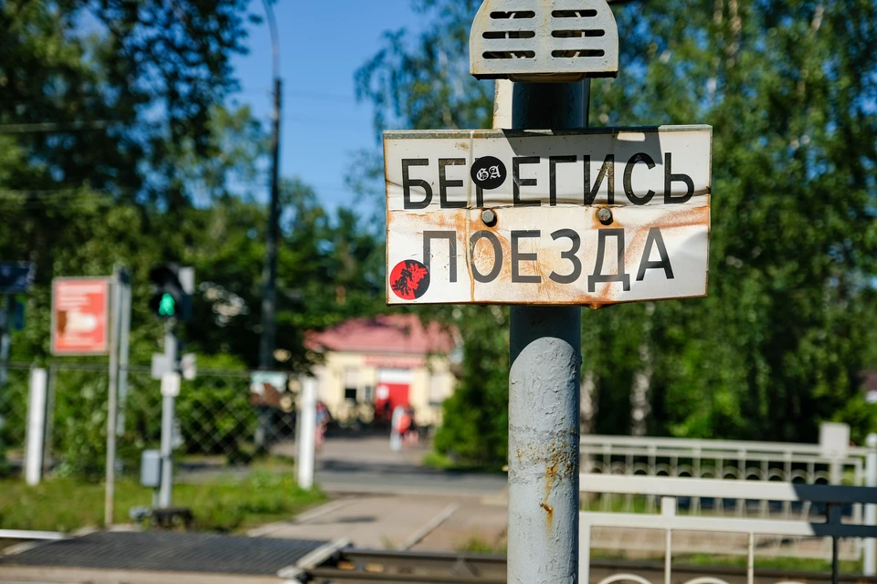 В электричке «Киров - Луза» у пассажира обнаружили почти 1,5 кг пороха.