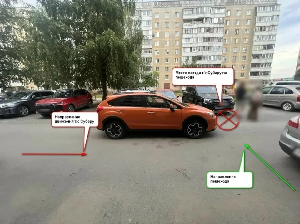 Фото: пресс-служба УМВД России по Костромской области