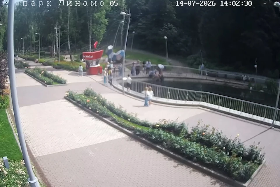 Стоп-кадр записи происшествия.
