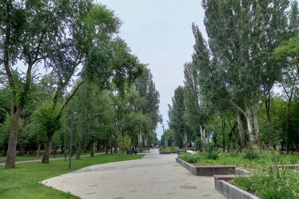 Концепцию озеленения Самары поменяли