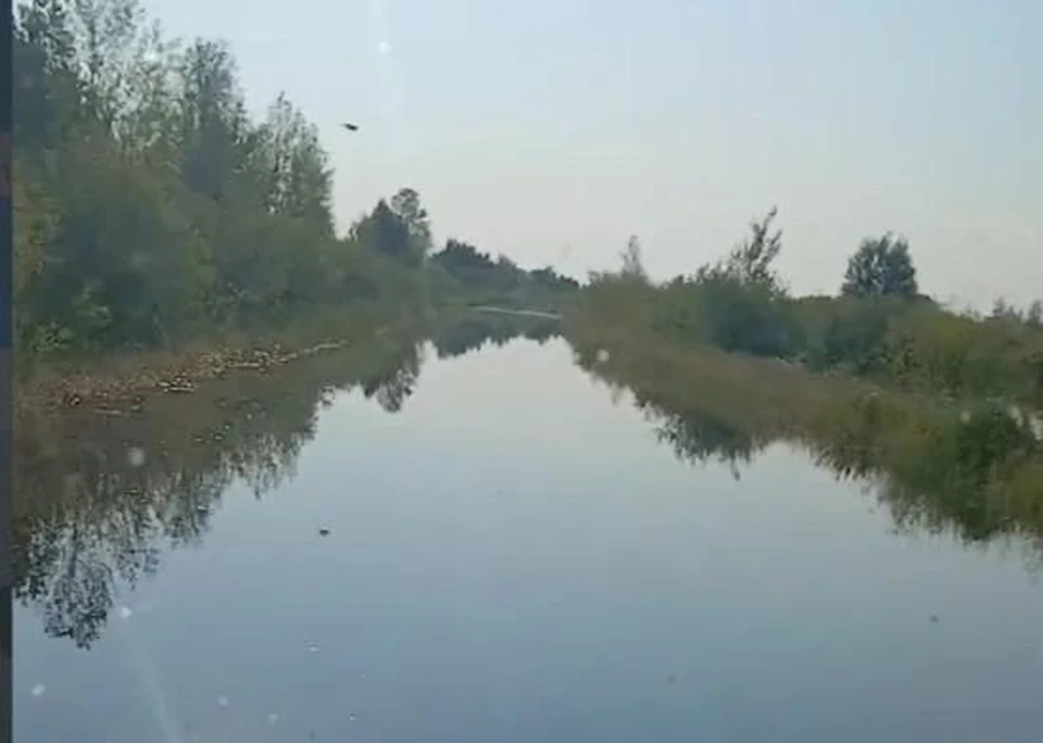 Фото: ГУС Тюменской области.