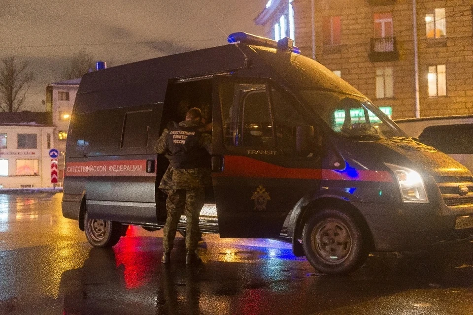 Глава СУ СК Олег Васильев рассказал, как идет следствие о гибели двух девочек в Рязани 7 июля 2026 года.