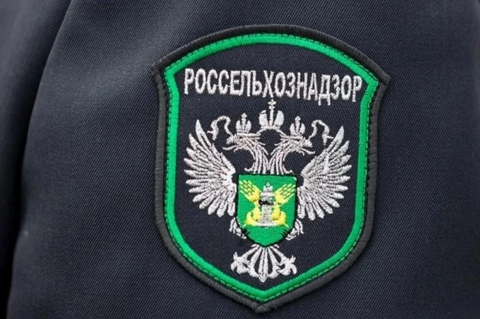 Россельхознадзор отменил ограничения на ввоз мяса производителя из Белоруссии, фото: пресс-служба ведомства