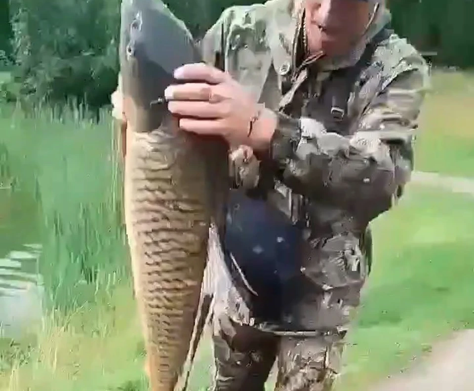 Фото: скриншот видео