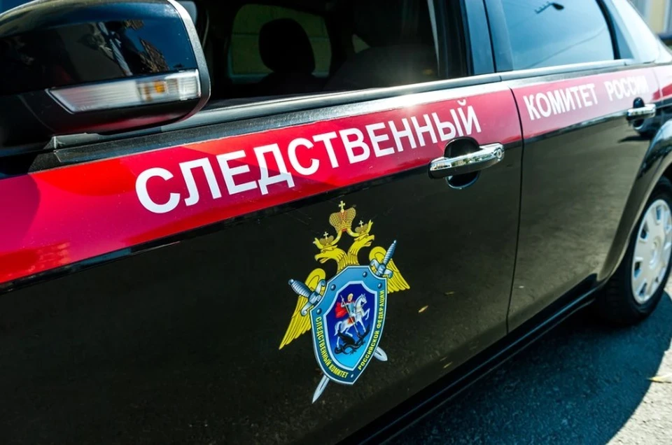 На Камчатке мать выбросила новорождённую в мусорку, возбуждено дело об убийстве