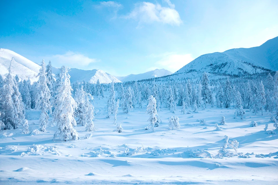 Фото: Piu_Piu/Shutterstock/Fotodom