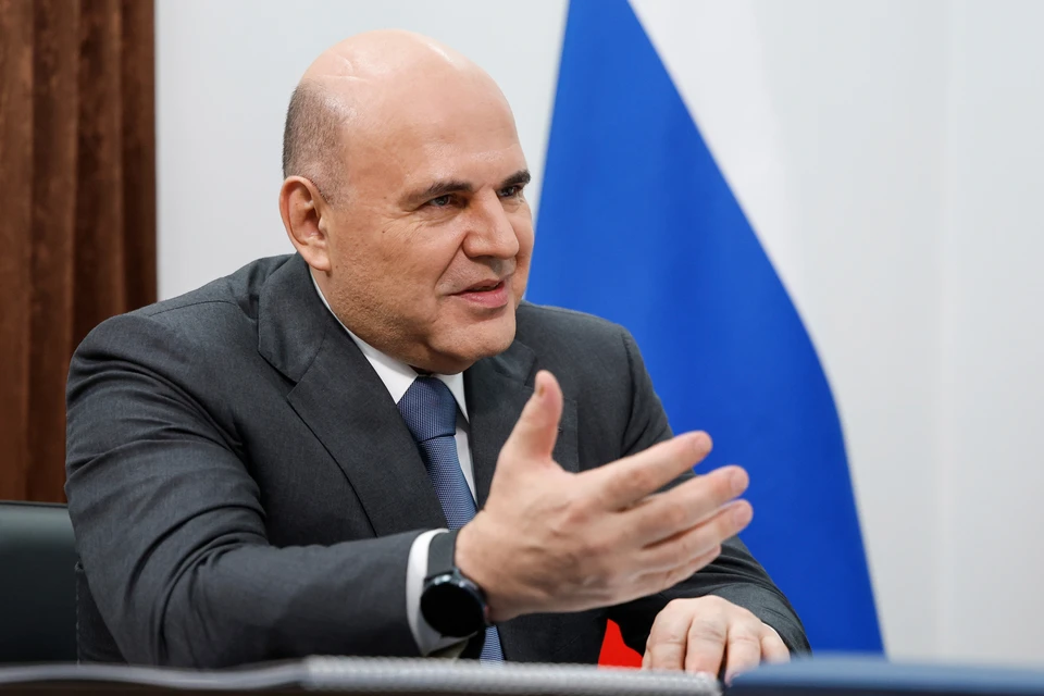 Премьер-министр РФ Михаил Мишустин во время встречи с главой Республики Алтай Андреем Турчаком. Фото: Дмитрий Астахов/POOL/ТАСС