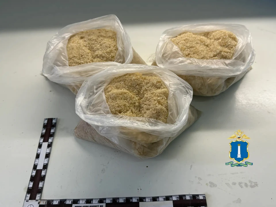 В Ульяновской области разоблачили крупную сеть наркосбытчиков | ФОТО: УМВД России по Ульяновской области