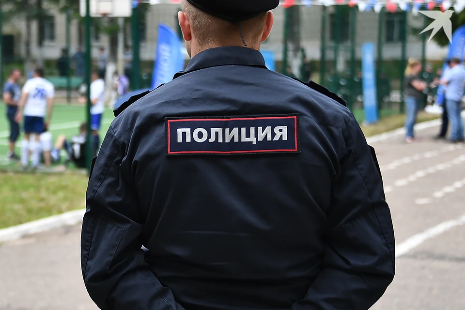 В Апатитах полиция проводит проверку после падения собаки с четвертого этажа дома на улице Дзержинского.