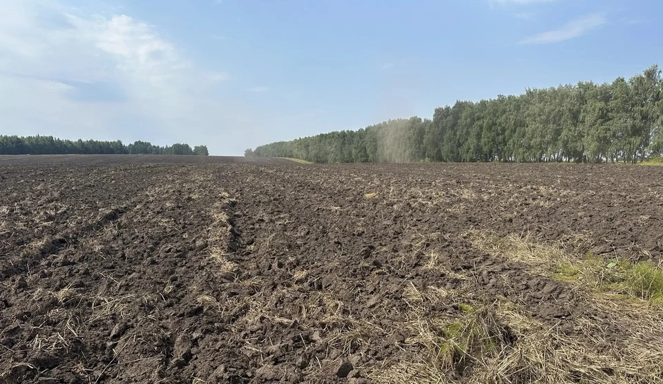 Фото: пресс-служба Управления Россельхознадзора по Орловской и Курской областям