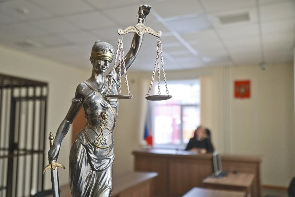 Правообладатели мультсериала выиграли суд у предпринимателя на Камчатке