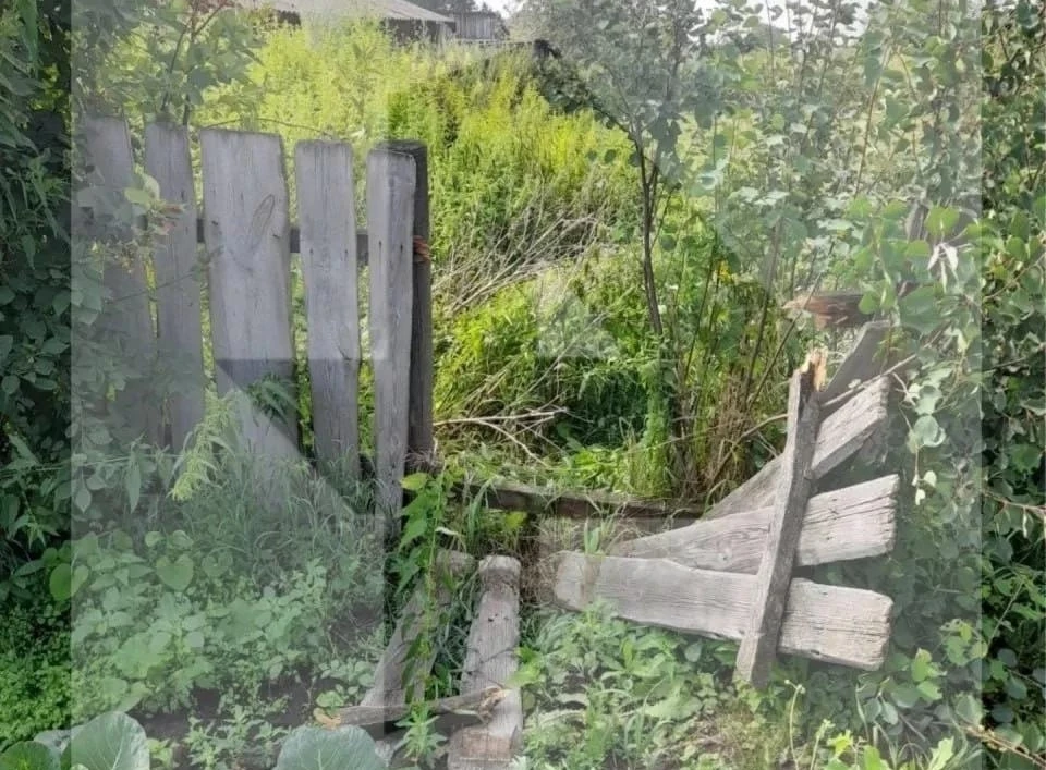 Медведь ломает заборы и вытаптывает огороды. Фото: Минлескомплекса и охотхозяйства Кузбасса.