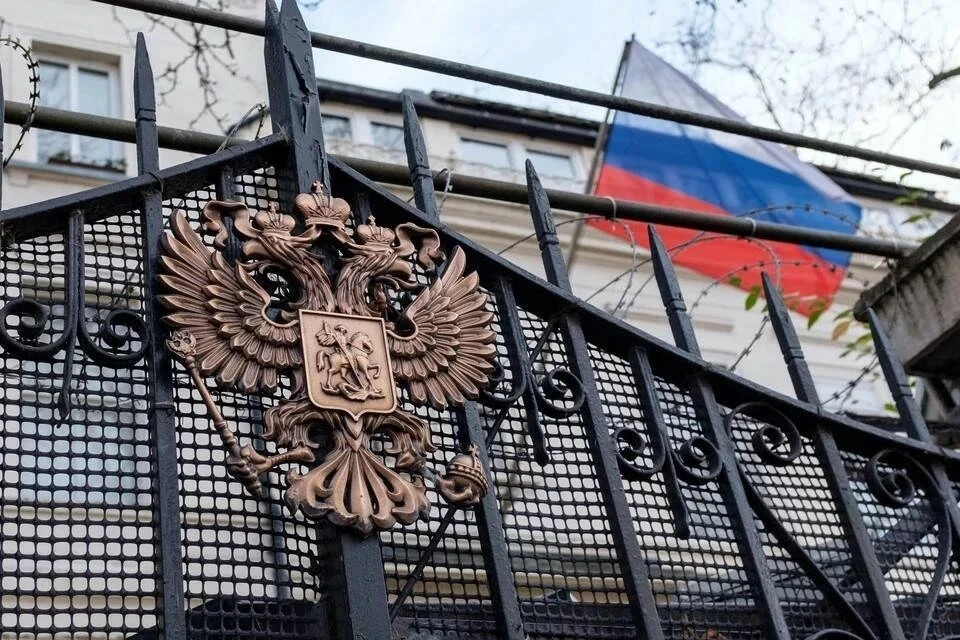 Посольство РФ прокомментировало эксгумацию главаря ОУН* в Нидерландах
