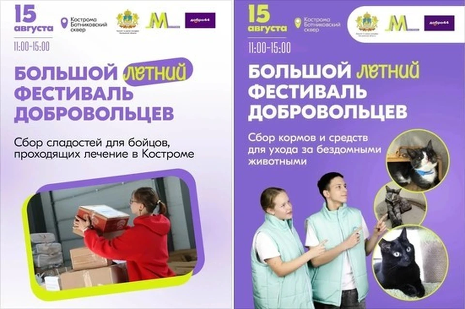 Фото: МЦ "Кострома"