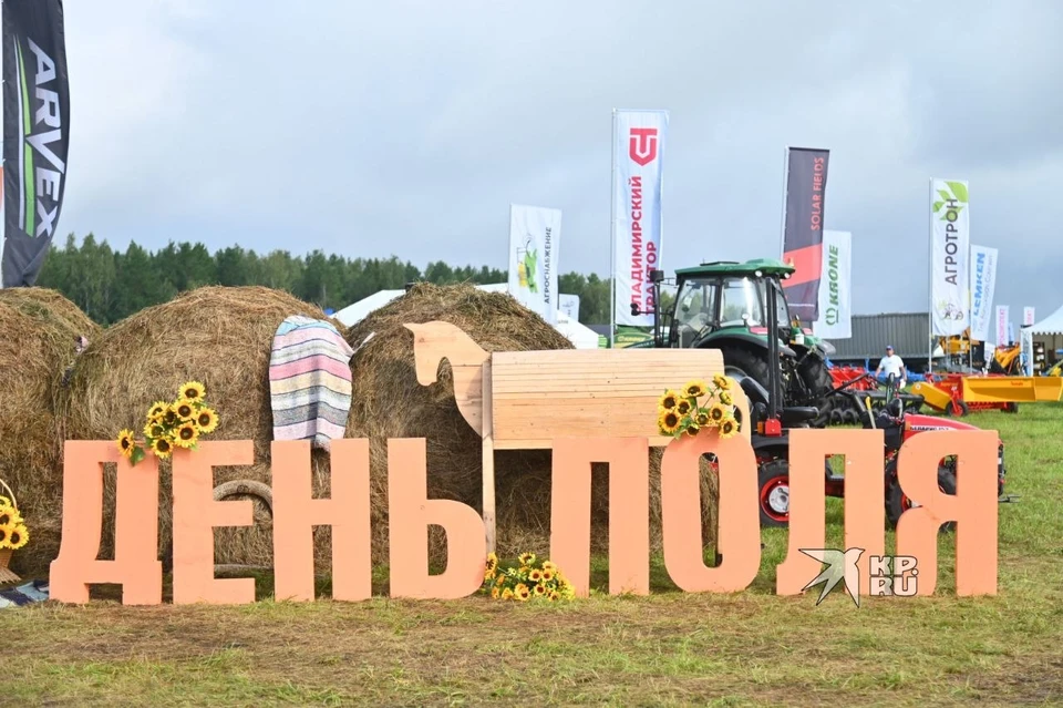 На Дне поля открыли сезон уборки зерновых культур