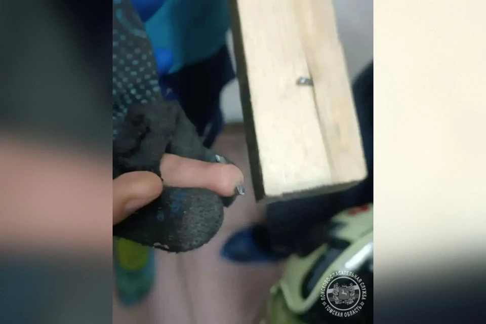Спасатели Томской областной поисково-спасательной службы во время выполнения работ. Фото: архив / ОГБУ «ТО ПСС»