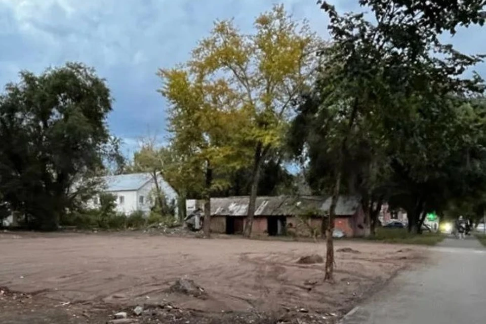 В настоящее время на месте бывшего дома образовался пустырь. Фото: Народный фронт Оренбургской области