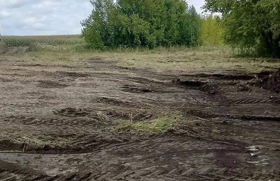 Свалку убрали. Фото: Россельхознадзор Алтайского края
