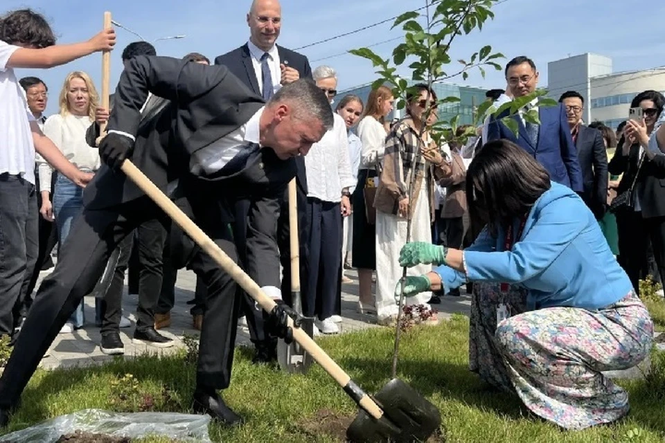 Мероприятие прошло в честь завершения международного форума «РОСТКИ». Фото: eco.tatarstan.ru