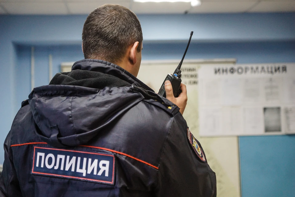 Девушка плотного телосложения, с темно-русыми волосами.