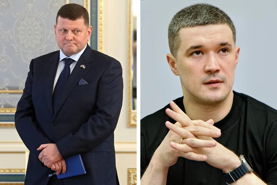 Экс-главком ВСУ Валерий Залужный и экс-министр обороны Украины Михаил Федоров. Фото: Tarasov/Keystone Press Agency/Global Look Press, Kirill Chubotin/Keystone Press Agency/Global Look Press