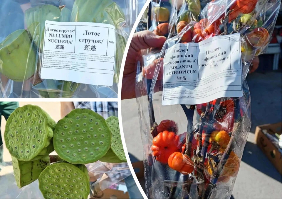 Объем импорта цветочной продукции в регион вырос в шестнадцать раз, а нарушители подверглись административным мерам. Фото: Россельхознадзор