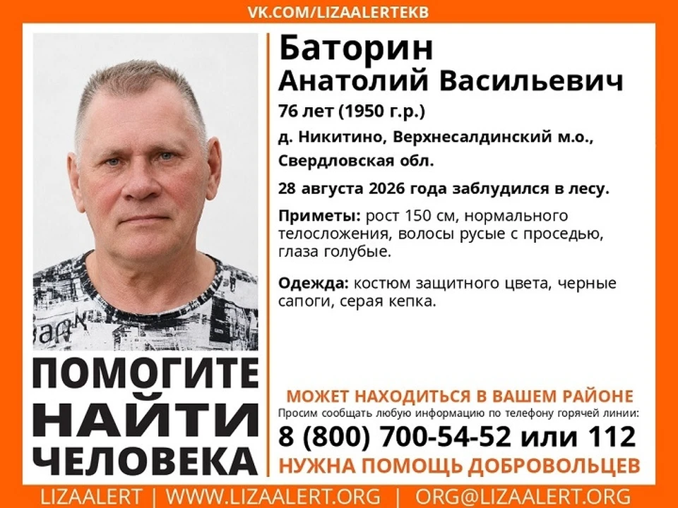 Мужчина ушел в лес 28 августа и пропал. Фото: поисковый отряд «ЛизаАлерт»