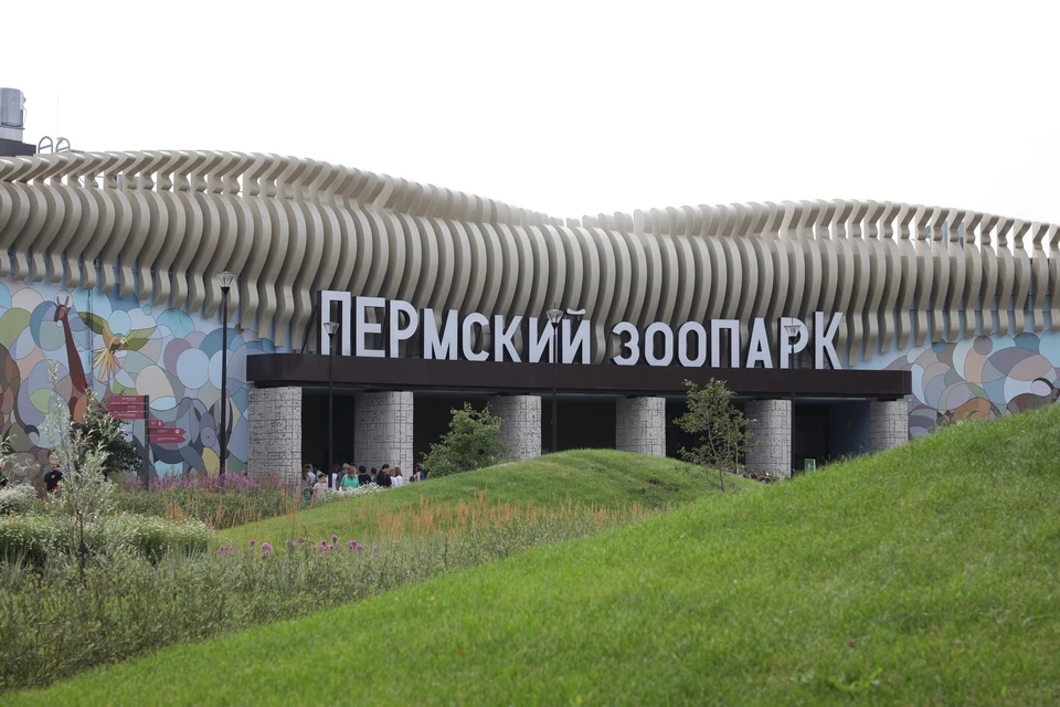 Пермский зоопарк приглашает школьников и студентов на бесплатные дни