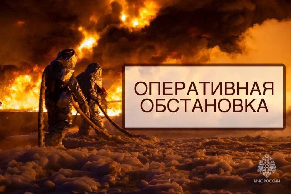 За минувшие сутки сотрудники МЧС ликвидировали огонь в Лихославле, Кимрах, Кувшинове и деревнях. Фото: МЧС Тверской области.