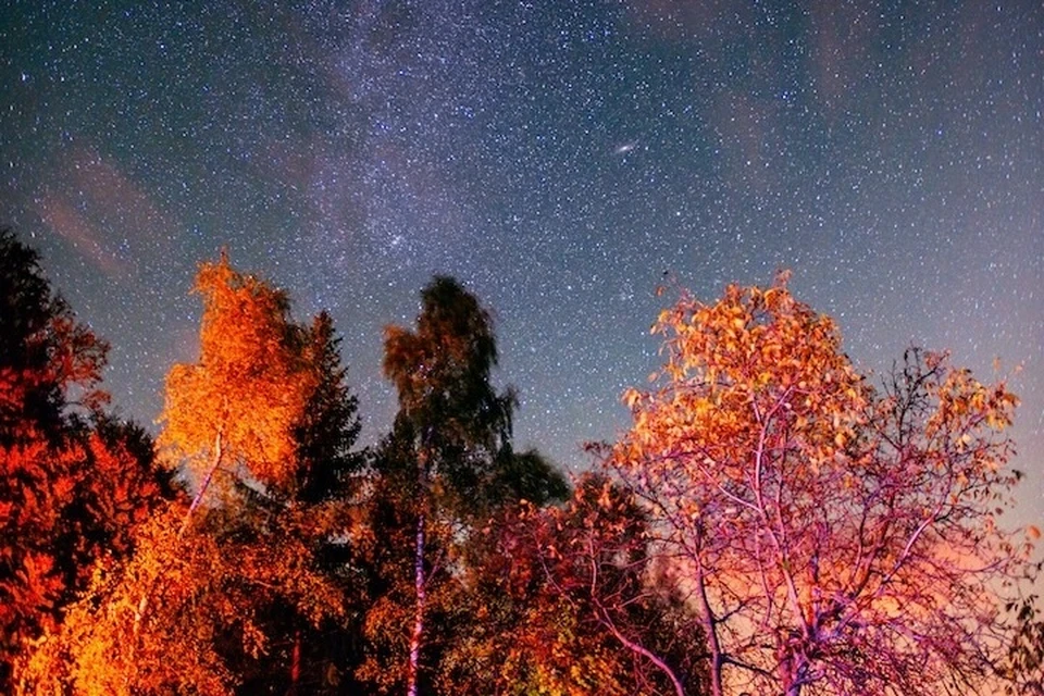 В сентябре ночи могут быть не менее красивыми, чем летом. Фото: envato elements