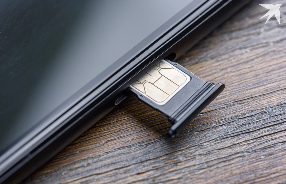 Источник фото: Shutterstock / автор Efired