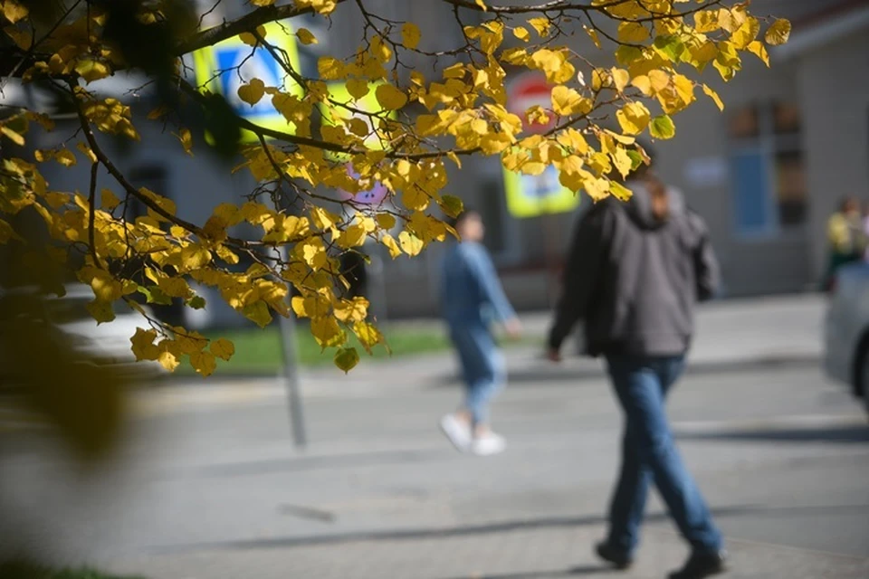 В Югру пришло потепление