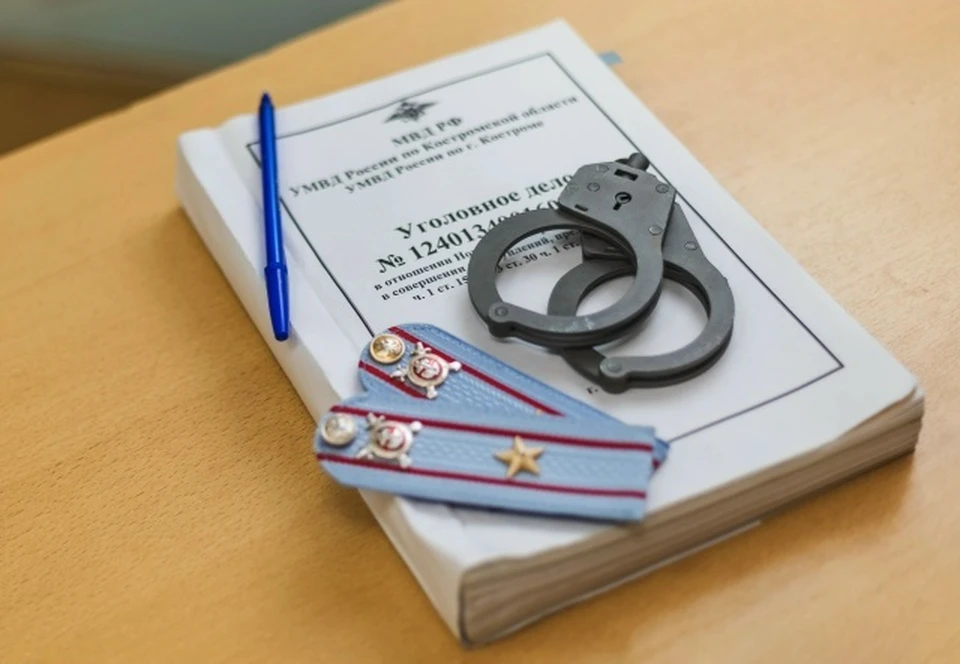 Фото: пресс-служба УМВД России по Костромской области