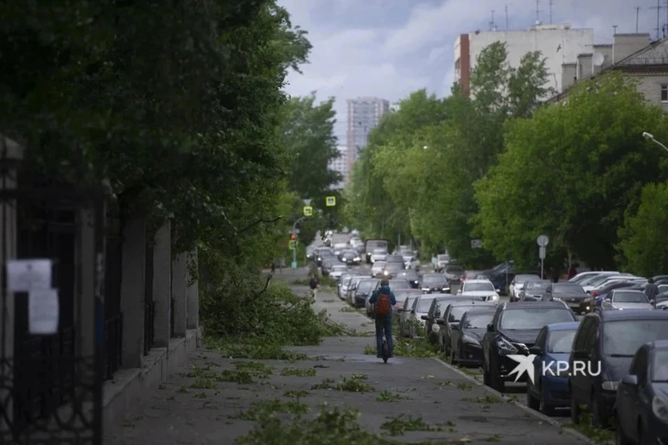 Циклон "Вилья" принес в Беларусь немало проблем. Фото носит иллюстративный характер.