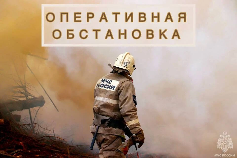 За минувшие дежурные сутки бойцы ликвидировали возгорания в двух округах и тушили мусор. Фото: МЧС Тверской области.
