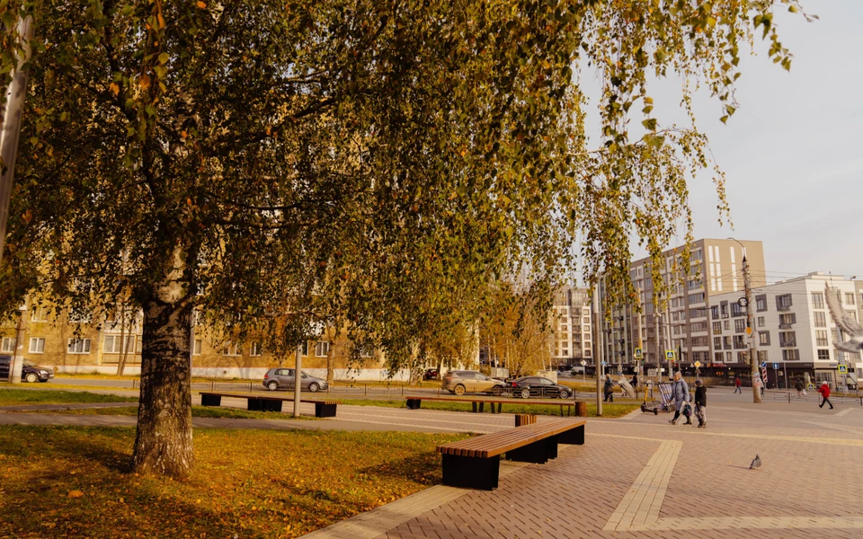 Прогноз на среду.