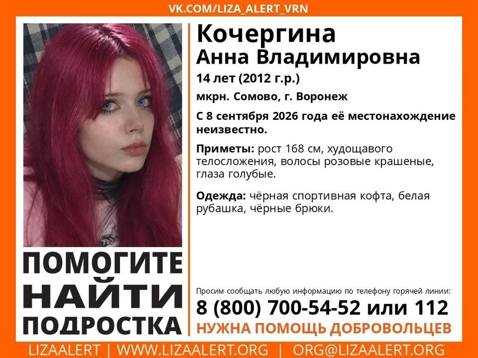 Ориентировка волонтеров