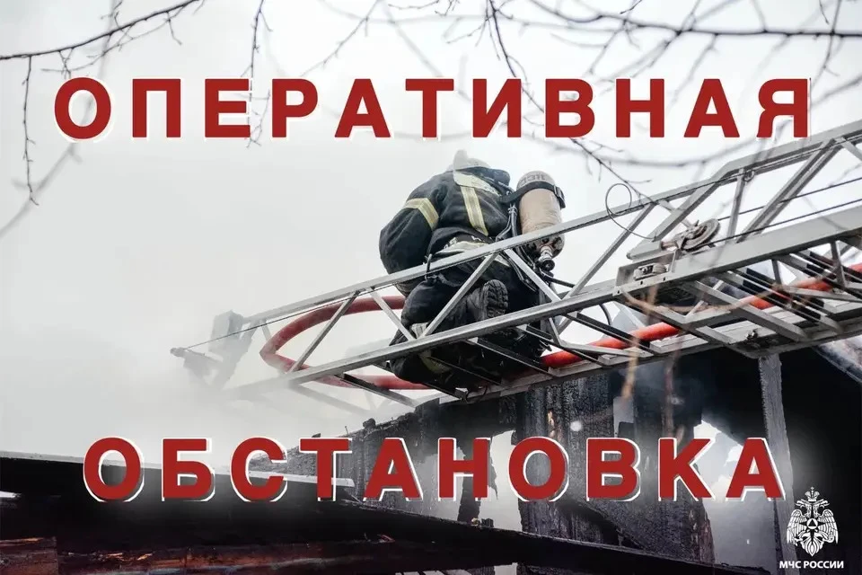 Подразделения выезжали на тушение возгораний в Кувшинове и Бологовском округе. Фото: МЧС Тверской области.