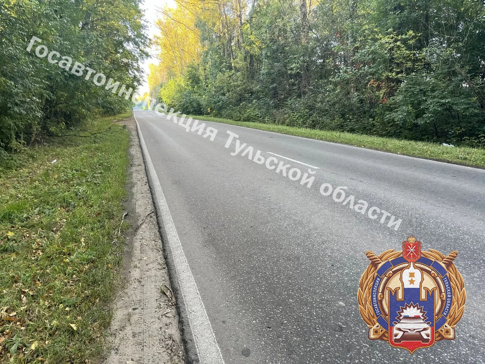 В Узловском районе подросток на машине «ВАЗ» съехал в кювет и врезался в дерево.