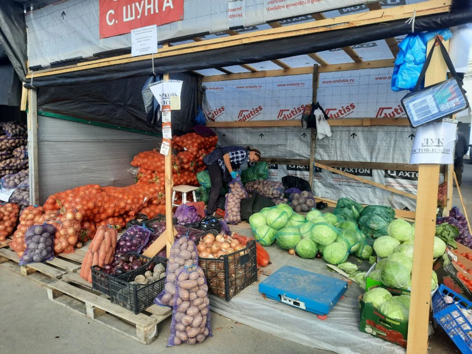 Сезонные ярмарки открылись в Костроме. ФОТО: правительство Костромской области