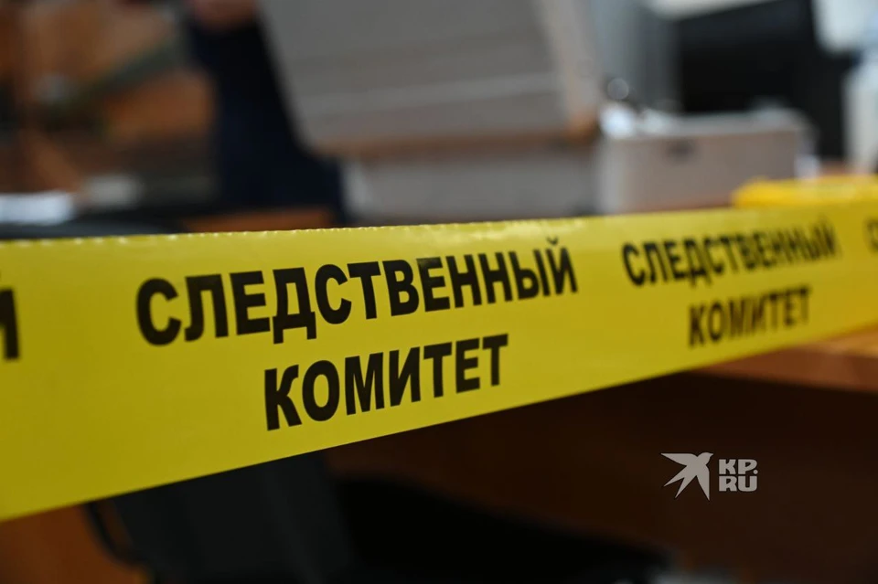 Расследование дела взято на контроль