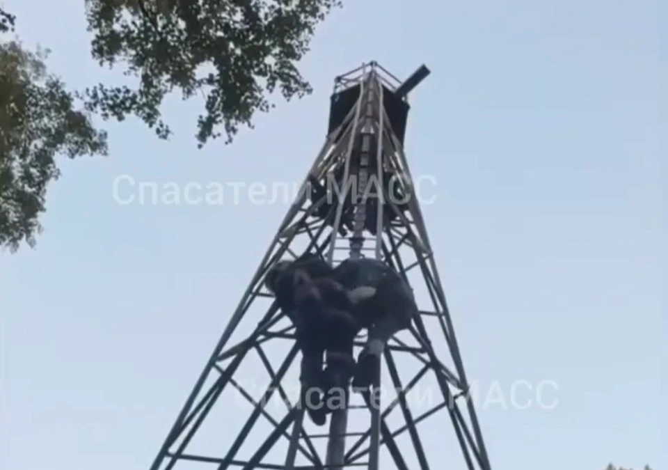 В Новосибирске спасатели сняли пару подростков с геодезической вышки. Фото стоп-кадр из видео спасателей МАСС